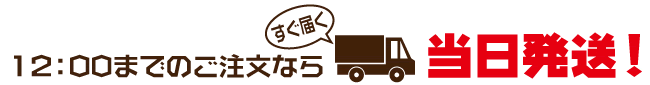 すぐ届く!当日発送