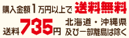 1万円以上で送料無料