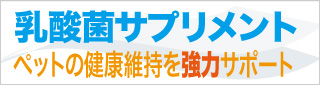 ペット用乳酸菌サプリメント