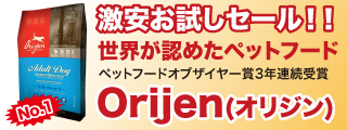 激安お試しセール オリジン