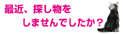 最近探し物をしませんでしたか？