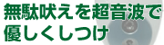 無駄吠え・しつけ