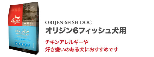 6フィッシュ ドッグ