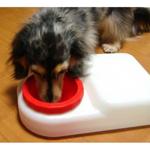 ブリングウォーター 給水器(愛犬用・愛猫用) ブリングウォーター 給水器(愛犬用・愛猫用)